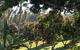 Montview Cottage B & B - thumb 6