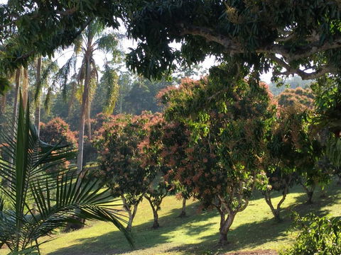 Montview Cottage B & B - Sunshine Coast Guide 6