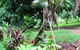 Montview Cottage B & B - thumb 7