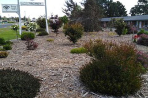 Altona Motel - Sunshine Coast Guide 0