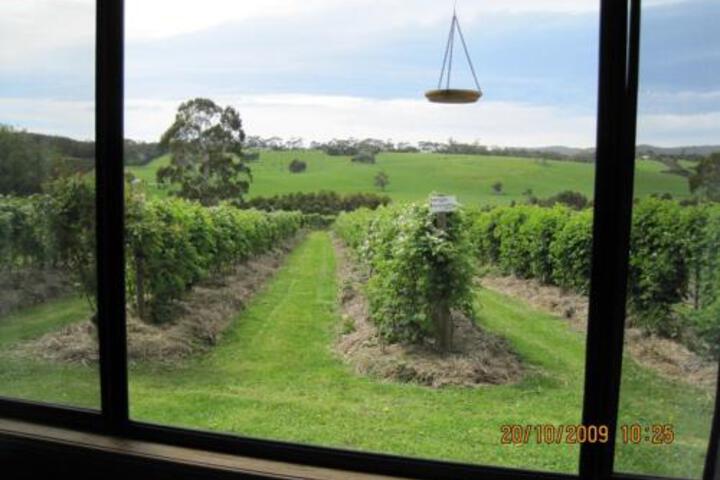 Whoorel ACT Sunshine Coast Guide