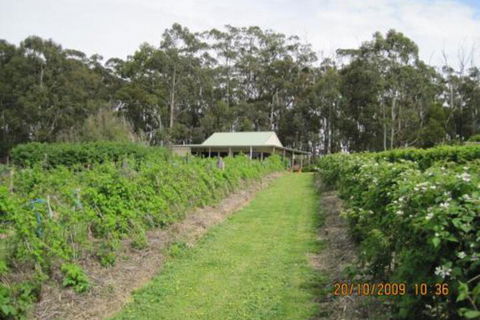 Pennyroyal Raspberry Farm & Cidery - Sunshine Coast Guide 6