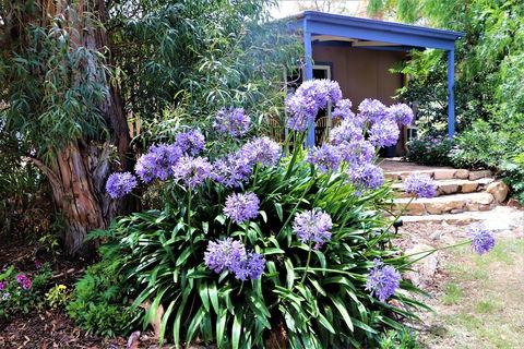 A Stanthorpe Getaway - Sunshine Coast Guide 4