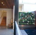 Stella on Stevens - Sunshine Coast Guide