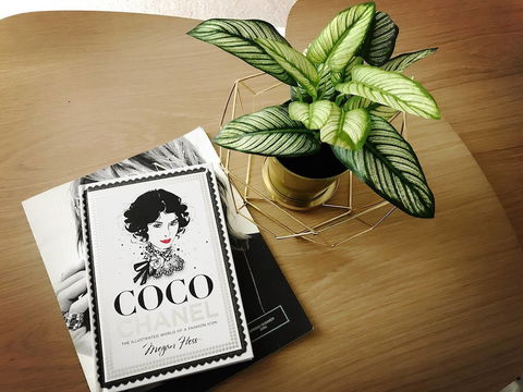 ILK Apartments South Yarra - Sunshine Coast Guide 2