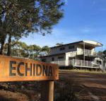 Echidna on Bruny - Sunshine Coast Guide