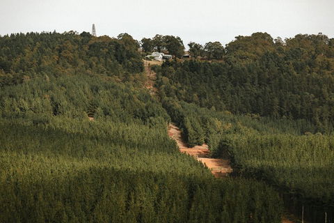 Nannup Hideaway - Sunshine Coast Guide 4