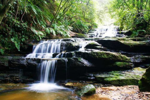 The Gatsby - Sunshine Coast Guide 7