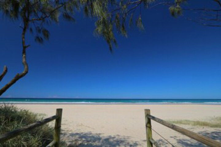 Alice NSW Sunshine Coast Guide