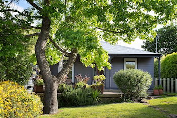 Absolute - Sunshine Coast Guide 0