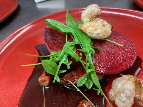 Aloft Boutique Accommodation - Sunshine Coast Guide 2