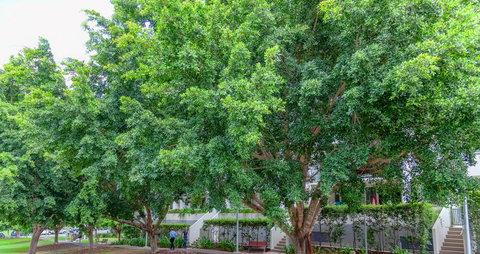 Theodore Apartments - Sunshine Coast Guide 0