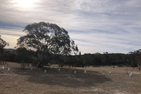 The Saddle Camp Tiny House Braidwood - Sunshine Coast Guide 2