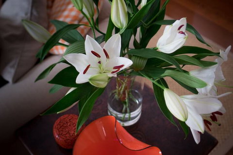 The Kinninmont House - Sunshine Coast Guide 4