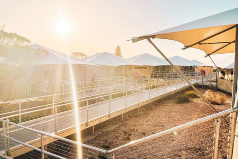 Discovery Rottnest Island - Sunshine Coast Guide 5