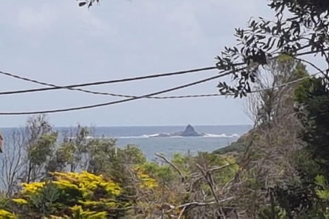 Smith Beach Getaways Beachwood House - Sunshine Coast Guide 1