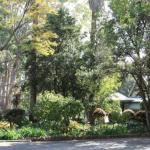 Two Sisters Chalets - Sunshine Coast Guide 1