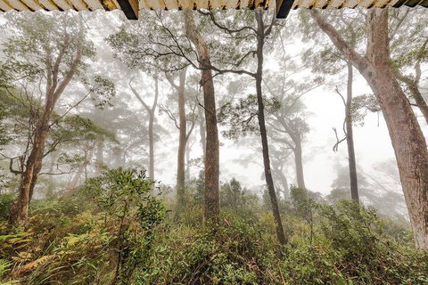 The Chalet - Sunshine Coast Guide 1