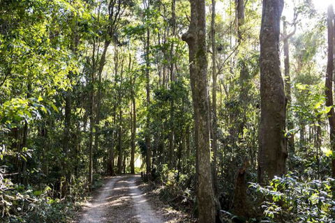 Rosewood Estate - Sunshine Coast Guide 1