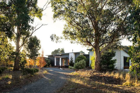Arya - Sunshine Coast Guide 1