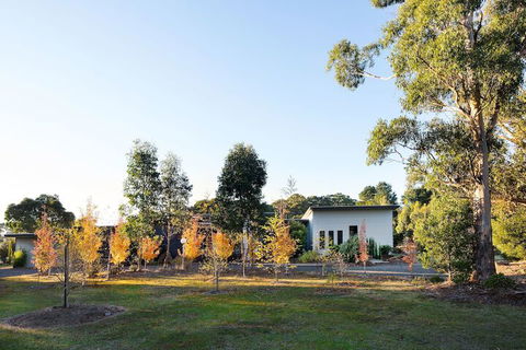 Arya - Sunshine Coast Guide 3
