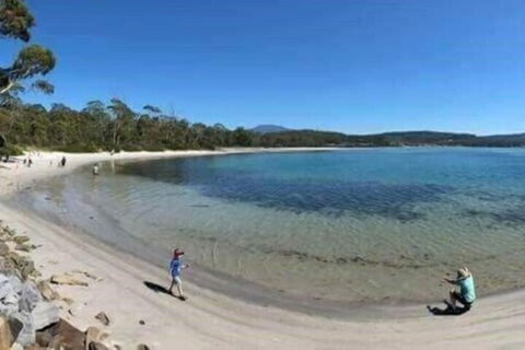 Mountain View Motel - Sunshine Coast Guide 7