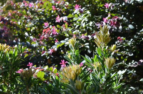 A Bach At Bright Bright VIC - Sunshine Coast Guide 4