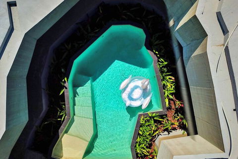 Alkira Award Winning Luxury Holiday Home - Sunshine Coast Guide 6