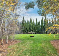 Orchards at Spring Vale Farm - Sunshine Coast Guide