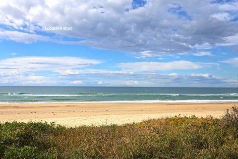 Banksia Sawtell NSW - Sunshine Coast Guide 4