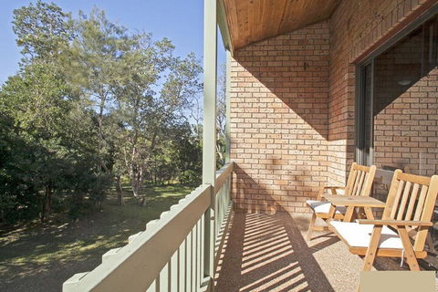 Banksia Sawtell NSW - Sunshine Coast Guide 6