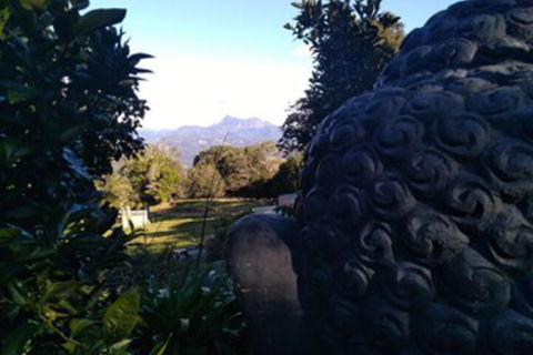Ruah Rain Forest Retreat - Sunshine Coast Guide 0