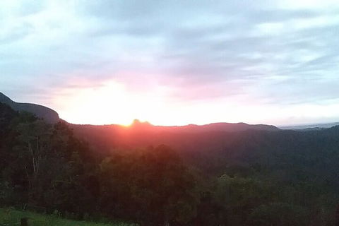 Ruah Rain Forest Retreat - Sunshine Coast Guide 4