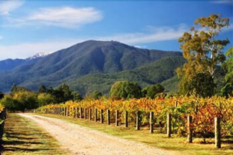 The Park Mount Beauty - Sunshine Coast Guide 1