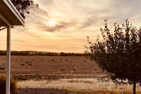 Marys Farm Cottages - Sunshine Coast Guide 3