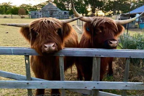 Straw House Farm B & B - Sunshine Coast Guide 4
