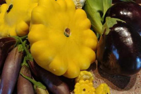 Straw House Farm B & B - Sunshine Coast Guide 6