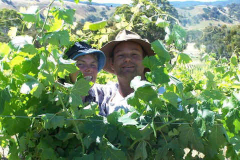 Wimmera Hills Winery - Sunshine Coast Guide 2