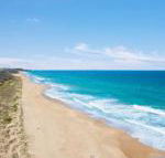 Jimmys Shout Pet Friendly - Sunshine Coast Guide