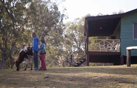 Bestbrook Mountain Resort - Sunshine Coast Guide 4