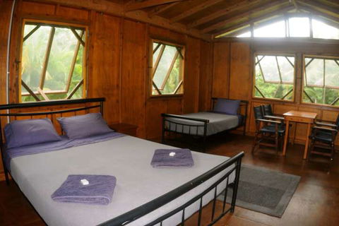 Daintree Rainforest Bungalows - Sunshine Coast Guide 4