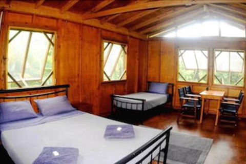 Daintree Rainforest Bungalows - Sunshine Coast Guide 5