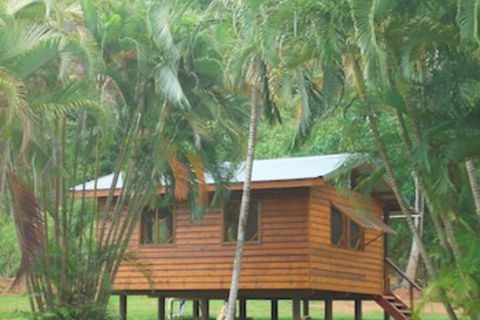 Daintree Rainforest Bungalows - Sunshine Coast Guide 0