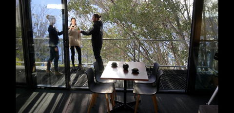 Diana Alpine Lodge - Sunshine Coast Guide 3