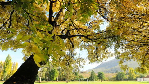 Junction Motel - Sunshine Coast Guide 1
