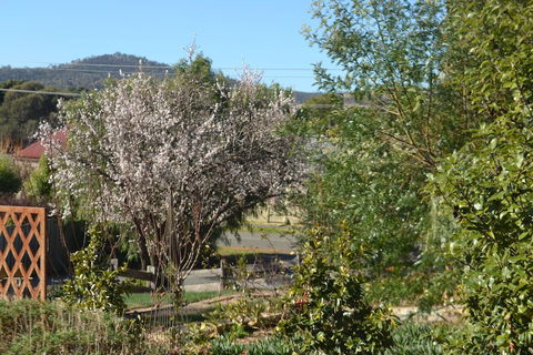 Mulberry Cottage B&B - Sunshine Coast Guide 3