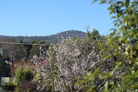 Mulberry Cottage B&B - Sunshine Coast Guide 5