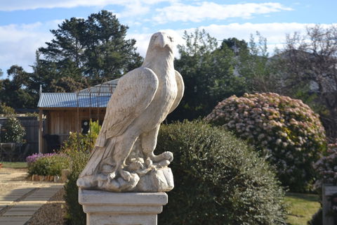 Mulberry Cottage B&B - Sunshine Coast Guide 4