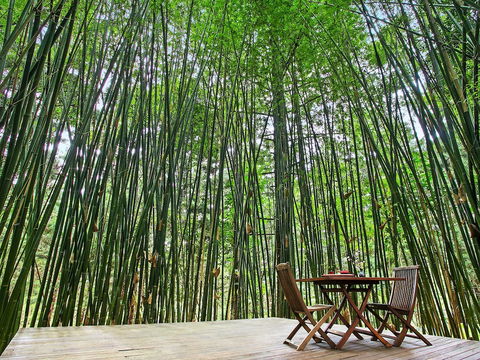 Azabu Boutique Accommodation Byron Bay - Sunshine Coast Guide 0