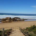 Bellbird Cottage B & B - Sunshine Coast Guide 0